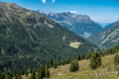 IMG_6955