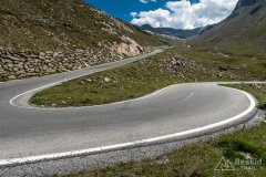 IMG_6962