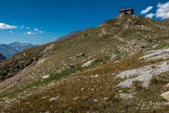 IMG_6975