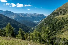 IMG_6987