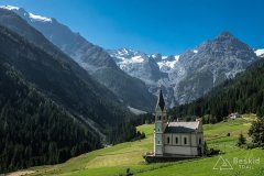 IMG_6993