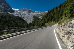 IMG_6995