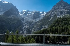 IMG_6996