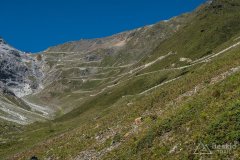 IMG_6998