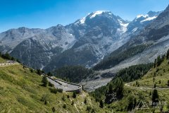 IMG_6999