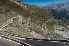 IMG_7004