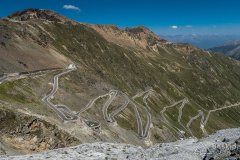 IMG_7017