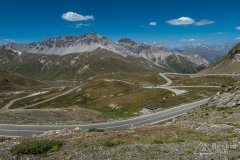 IMG_7018