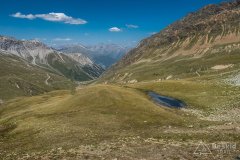 IMG_7019