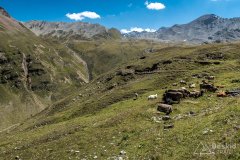 IMG_7022