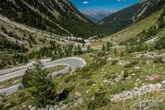 IMG_7026
