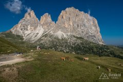 IMG_7035