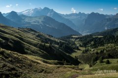 IMG_7036