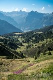 IMG_7038