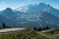 IMG_7041