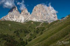 IMG_7042