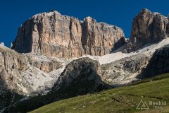 IMG_7046