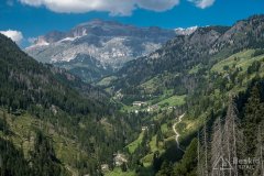 IMG_7048