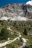 IMG_7056