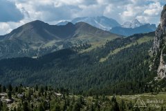 IMG_7057
