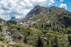 IMG_7058