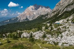 IMG_7059
