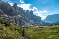 IMG_7070