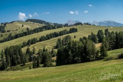 IMG_7087