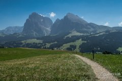 IMG_7090