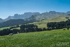 IMG_7091