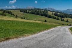 IMG_7092