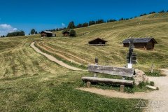 IMG_7098