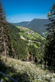IMG_7100