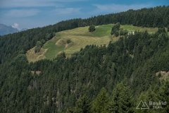 IMG_7115