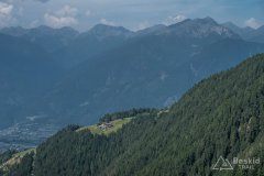 IMG_7117