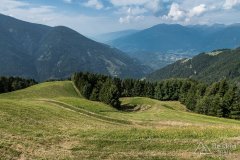 IMG_7118