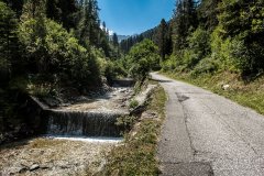 IMG_7125