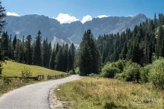 IMG_7128