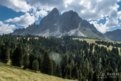 IMG_7130