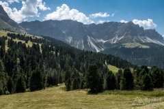 IMG_7131
