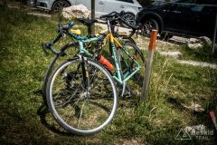 IMG_7138