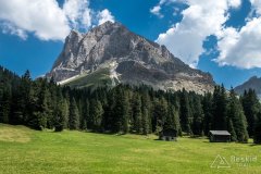 IMG_7145