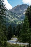 IMG_7146