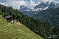 IMG_7150