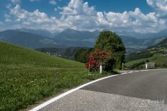 IMG_7152