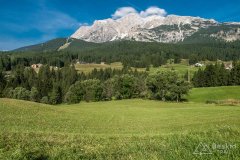 IMG_7160
