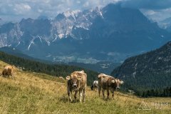 IMG_7188
