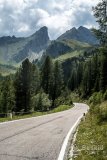 IMG_7205