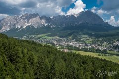 IMG_7206