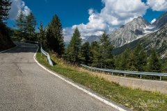 IMG_7219